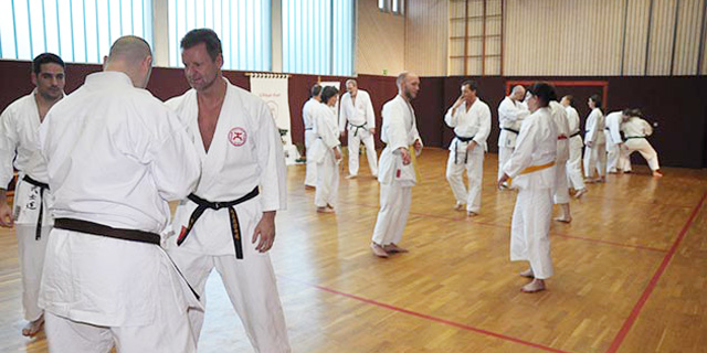 Karate Training